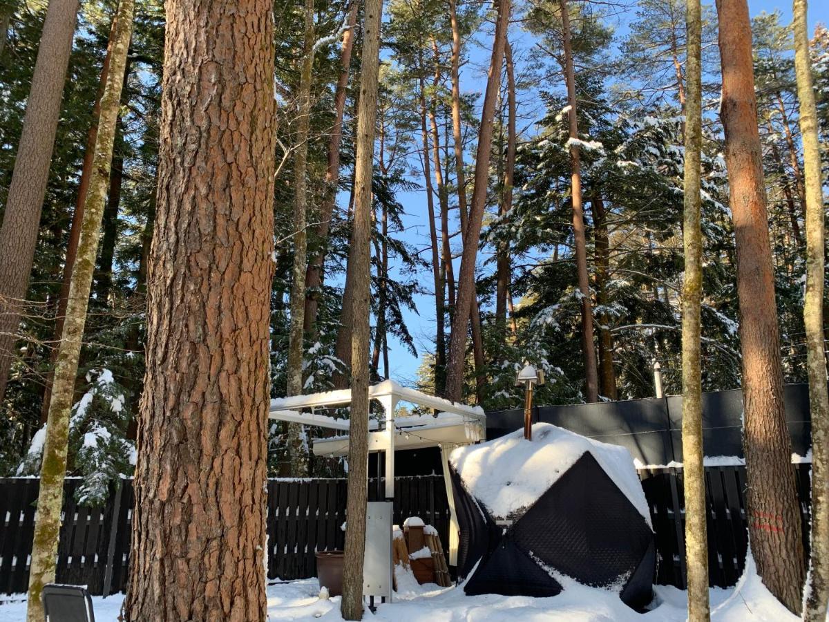 Fuji Fumoto Forest Hotspring ふもとの森温泉 Fujikawaguchiko Buitenkant foto